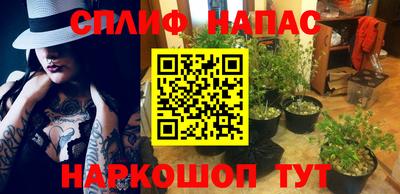 шишки Краснодар