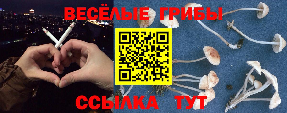 Галлюциногенные грибы GOLDEN TEACHER Камышлов