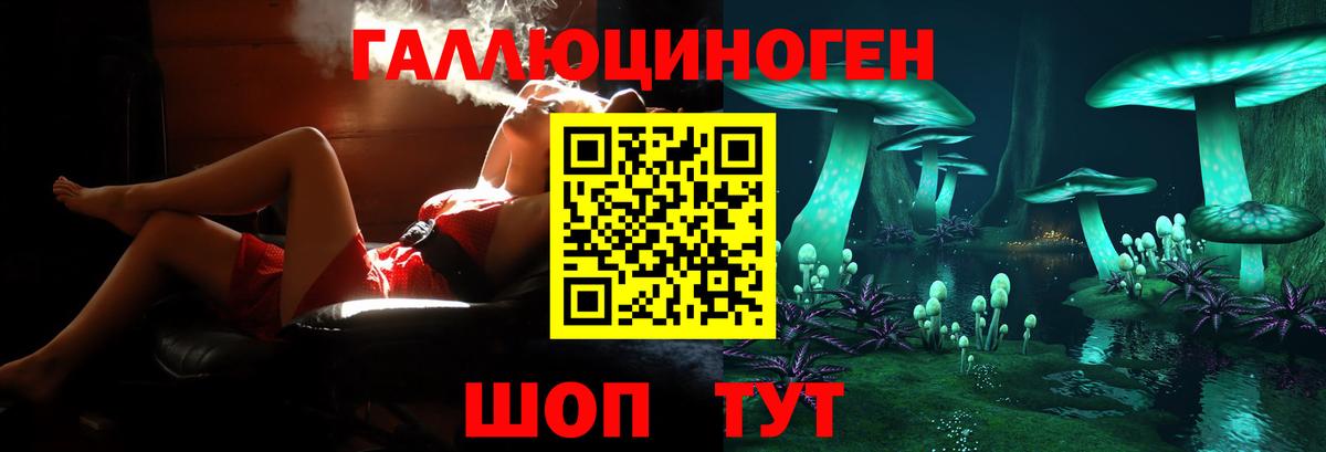 Камышлов  закладки  Вход с VPN  Псилоцибиновые грибы MAGIC MUSHROOMS 